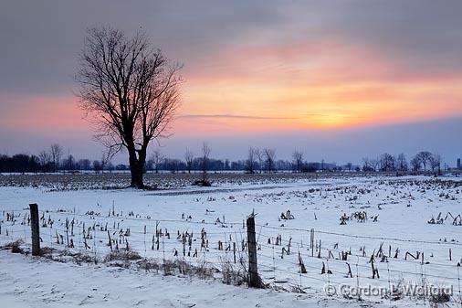 Snowscape Sunrise_13520.jpg - Photographed at Ottawa, Ontario - the capital of Canada.